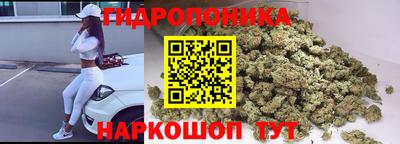 амф Донской