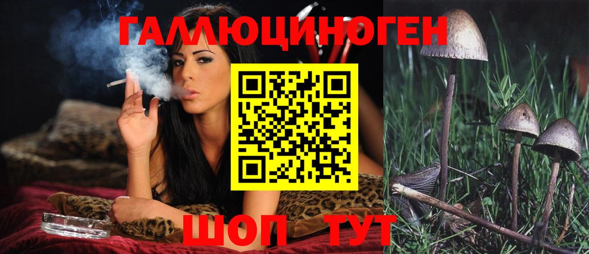 Псилоцибиновые грибы прущие грибы  как найти закладки  Вход с VPN  Лесной  Псилоцибиновые грибы мицелий 