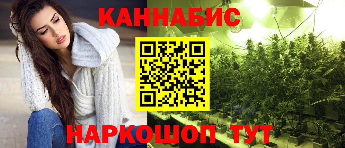 Марихуана OG Kush Лесной